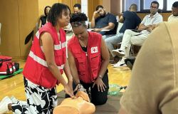 Formação em Primeiros Socorros para Colaboradores do INPS arranca com forte envolvimento e compromisso 